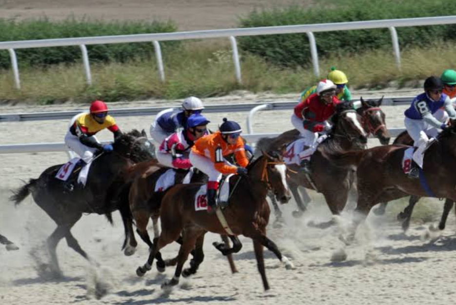 prono choc || pronochoc || prono choc turf || prono choc turf pronostic || pronos choc